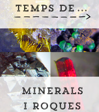 Projectes finalistes