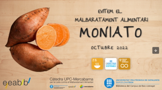 Evitem el malbaratament alimentari: consells, receptes i cerques