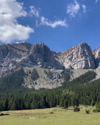 Exposicions del mes: Trementinaires, entre muntanyes i remeis