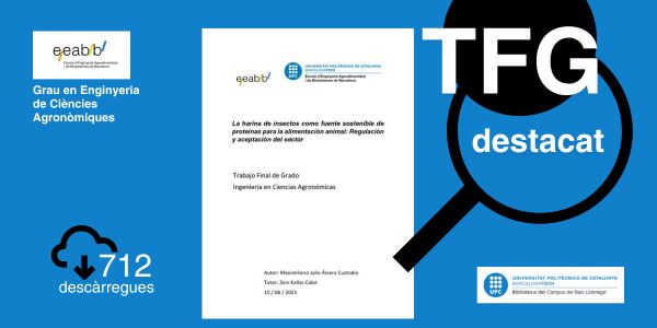 EL TFG destacat del mes