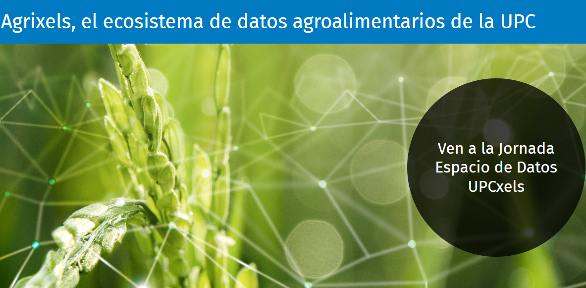 Recerca i Campus: Agrixels