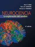 Neurociencia : la exploración del cerebro / Mark F. Bear, Barry W. Connors, Michael A. Paradiso.