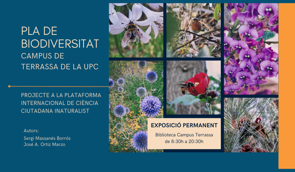 Exposició 'Biodiversitat al Campus de Terrassa de la UPC'