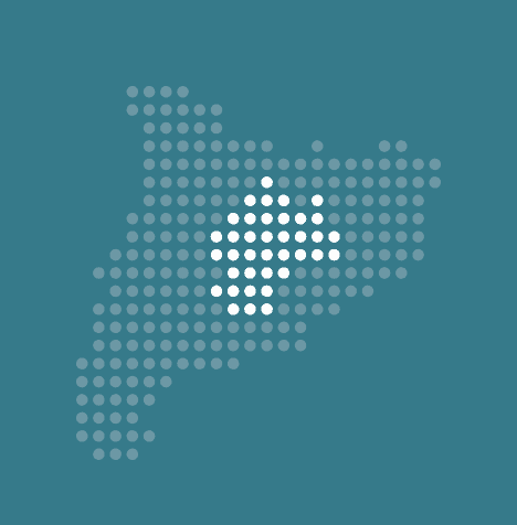 Informe de l'Observatori de la Recerca a la Catalunya Central 2018