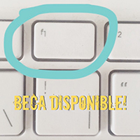 Convocatòria de beca d'aprenentatge curs 2018/2019