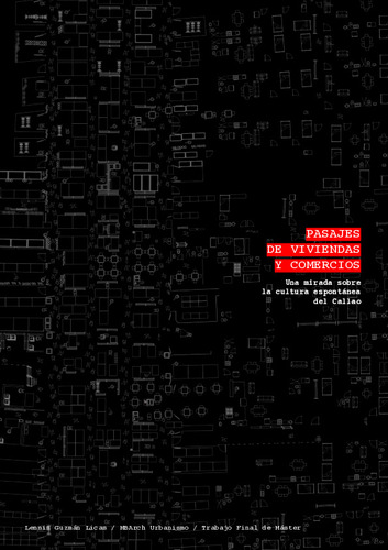 Pasajes de viviendas y comercios: una mirada sobre la cultura espontánea del Callao