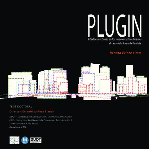 Plugin : interfaces urbanas en los nuevos centros lineales : el caso de la Avenida Paulista.