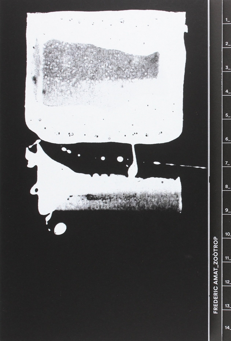 Frederic Amat : zoòtrop / textos: Miquel Adrià [i 6 més]