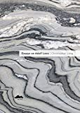 Essays on Adolf Loos / Christopher Long