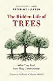 The hidden life of trees : what they feel, how they communicate : discoveries from a secret world / Peter Wohlleben ; foreword by Tim Flannery ; translation by Jane Billinghurst