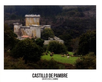 Castillo de Pambre: proyecto de rehabilitación / editor, Crecente Asociados; fotografías, Juan Rodríguez; textos, Mario Crecente, Jorge Salvador, Pepe Barro