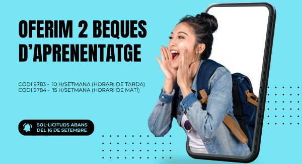 Beques d'aprenentatge