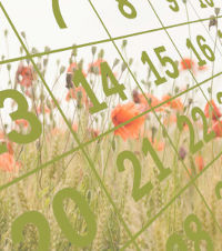 Horari de Setmana Santa