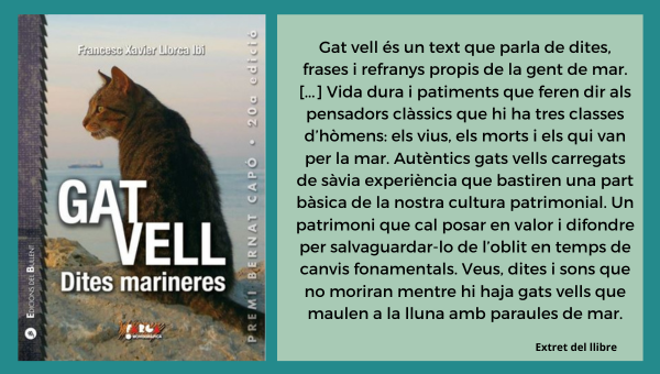 Nou llibre: Gat vell, dites marineres
