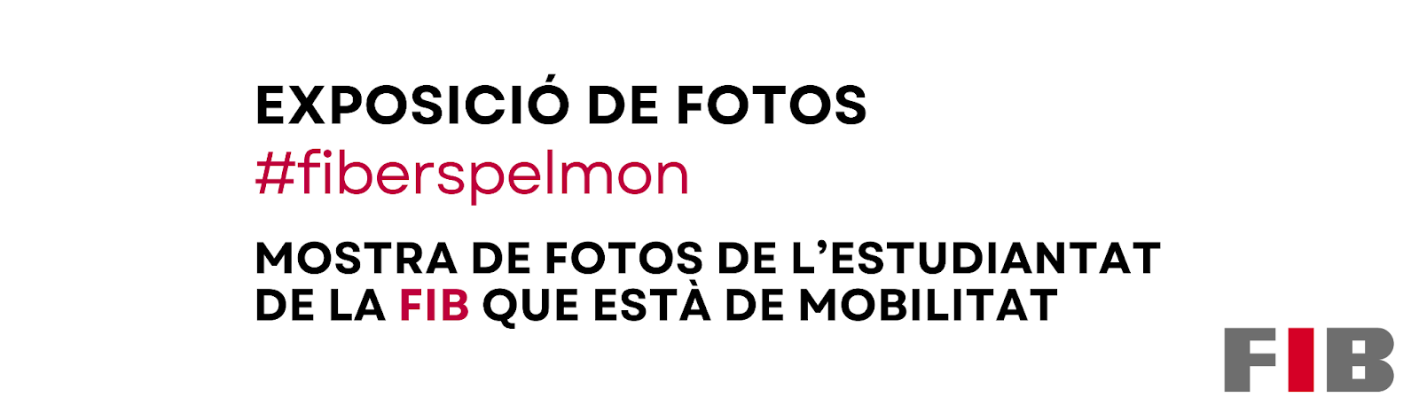 Exposició fotogràfica del 10 al 21 de febrer, al vestíbul de la biblioteca