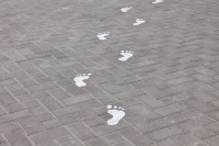 T'ajudem amb el teu TFG/TFM