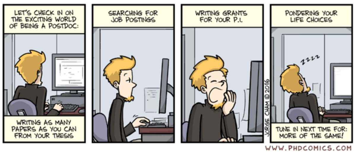 The exciting world of a postdoc