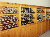Pla general del Museu de Geologia Valentí Masachs. 1987